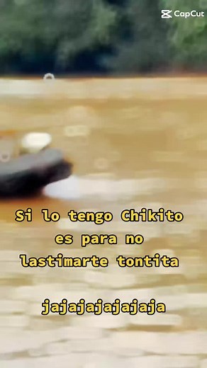 Cuentas recomendadas