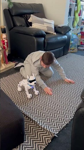 Ziggy The Robo Dog #ziggy #robo #robodog #robot #robotdog