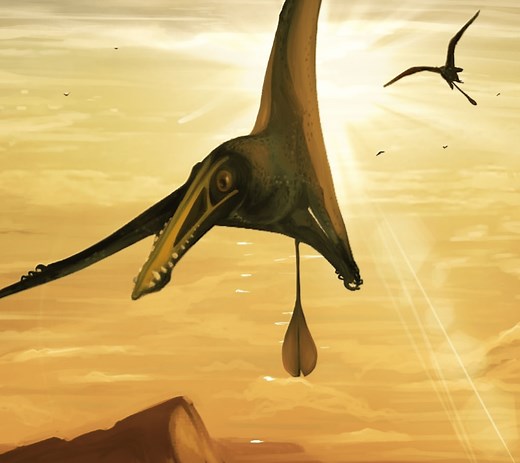 Pterodactyl Size - Size-Charts.com - When size matters