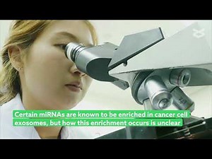 SRSF1 Regulates Exosome microRNA Enrichment in Human Cancer Cells