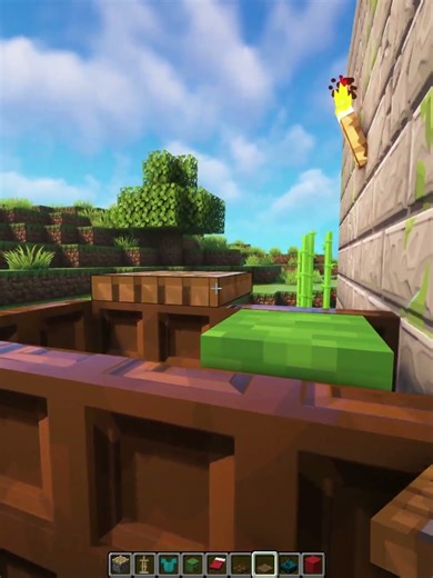 Minecraft Jumpscare Coffin💀