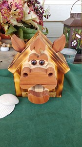Handmade Crazy Horse Birdhouse: Caricature Design, Weather-resistant - Etsy