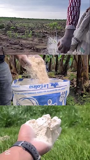 Cal agrícola: Usos y beneficios de cal viva y cal apagada