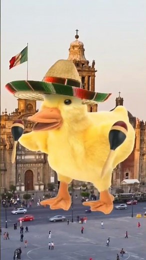 El.mariachi loco quiere bailar #mexico #vivamexico