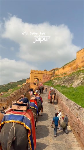 My Love for Jaipur 🕊️🦚✨