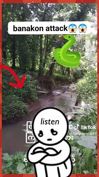 Scary Snake Encounters Caught on Camera