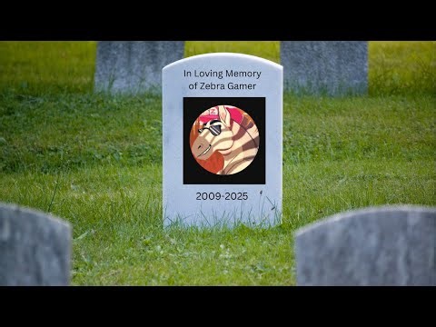 A Tribute To Zebra Gamer