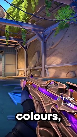 Top 5 Best Phantom Skins in Valorant