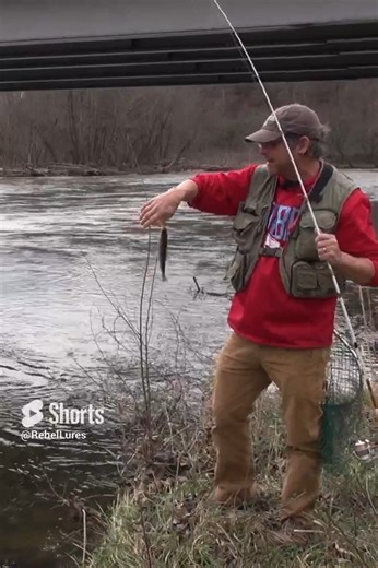 13K views · 228 reactions | Learn the advantages of a lure that sinks slowly. #catchfishanywhere | Rebel Lure Company | Facebook