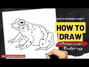 How to draw American Bullfrog