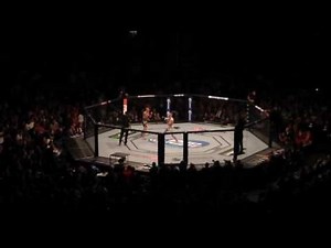 Connor Mcgregor vs Dustin Poirier Full fight (UFC 178)