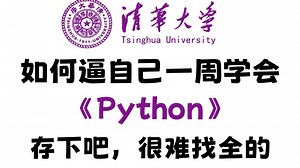 【整整600集】这绝对是B站最全最易懂的Python零基础入门全套教程，2025最新版，手把手带你7天搞定Python全栈！python基础入门/爬虫/数据分析