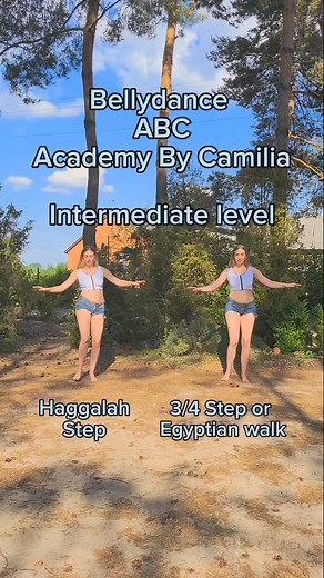 465K views · 6.3K reactions | Bellydance ABC ❣️Academy by Camilia...