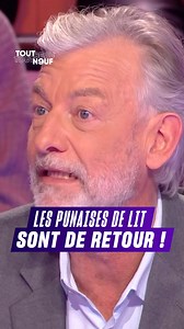 50K views · 240 reactions | « Plein de cinémas parisiens sont envahis par ça ! » 荒 Le fléau des punaises de lit refait son apparition, après que des spectateurs d’un cinéma parisien se sont fait piquer pendant une séance  #TBT9, du lundi au vendredi à 18:45 sur W9 et M6+ | Tout Beau Tout N9uf | Facebook