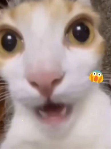 Felix from Stray Kids in Anime Style Art