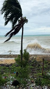 Violent waves hit the coast of Catmon, Cebu, during the wrath of Typhoon Tino on November 4, 2025. | Nicodimo Saguirel