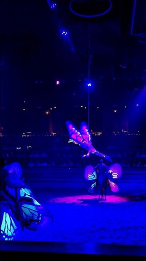 Butterfly Girl & Butterfly Horses at Dolly Parton’s Stampede 🦋🐎✨