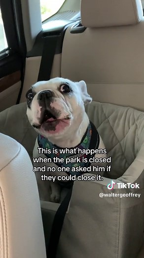 Justice for Walter G. - The Park Incident