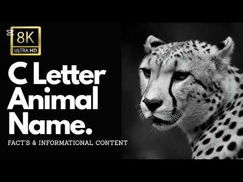 Learn Animals That Start With C 🐾 | Alphabet Wildlife Series for Children | Animal facts