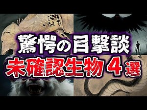【ゆっくり解説】驚愕の目撃談!! 本当に実在した！？ 正体と謎に満ちた未確認生物UMA４選