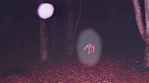 3 Disturbing TRUE Deep Woods/ Wilderness Horror Stories | Mr Nightmare Stories