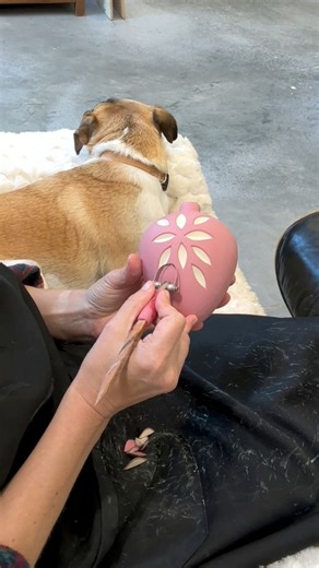 1.2M views · 21K reactions | ’ve been sharing little peeks of the...