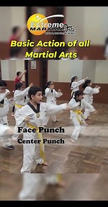 Basic Actions of all Martial Arts – Centre, Face and Down Punches (Dojo Drill Library)