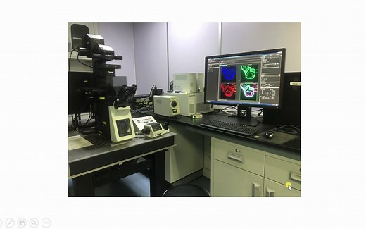 激光共聚焦显微镜原理