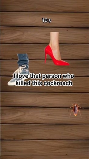 I love that person who killed this cockroach