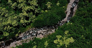 8K views · 180 reactions | OFFICIAL MUSIC VIDEO for ʻŌpae Ē ft Kalani Pe’a  I loved dancing to this. Happy song. Moves your feet.   : Hawaiian 105 KINE #alohawaii #lovehawaii #1sttheworld  | Aloha Hawaii | Facebook