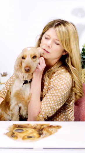 4.6K views · 86 reactions | Honey's harder to impress than I hoped she'd be!  | Anna Mason Art | Facebook