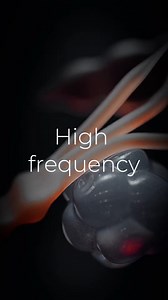 27K views · 11K reactions | Here’s something about keeping a high...