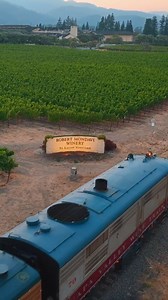 4.7K views · 84 reactions | Are you a wine lover seeking a unique way...