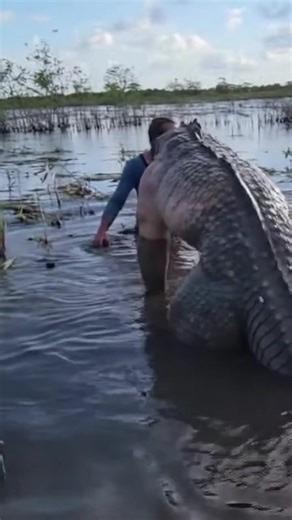 1.1M views · 7.8K reactions | Epsilon Files on Reels | Facebook