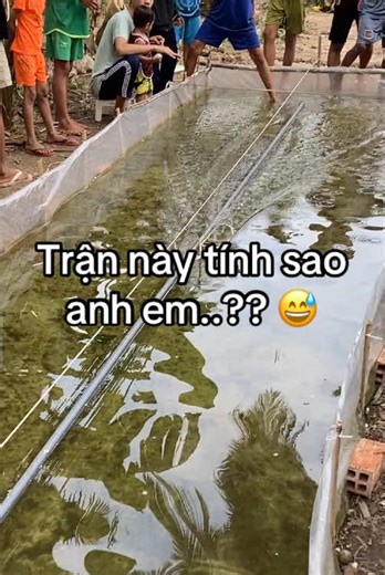 #churanh #ghengodiendien #ghengo #ghediendien