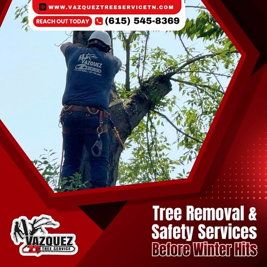 Winter Tree Removals Winter tree removal helps keep your property...