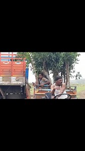 2.4K views · 75 reactions | Wholesale Nursery Plants on Reels | Facebook