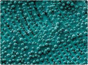 Nanotechnology Against Aging