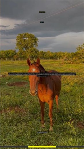 👀 2 Truths & 1 Lie 🧠: Japan's Hidden Truths 🚨