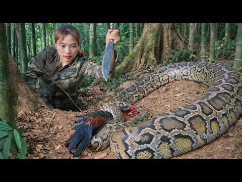 150 survival skills, animal trapping techniques, wild chickens, and wilderness survival skills