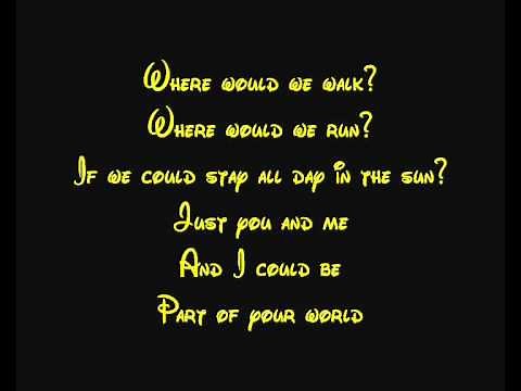 Part Of Your World (Reprise) The Little Mermaid Lyrics