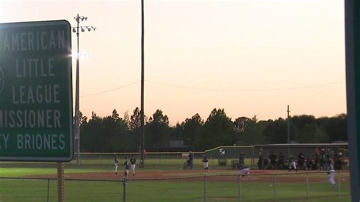 Director listed on Katy Little League tax forms has prior theft case