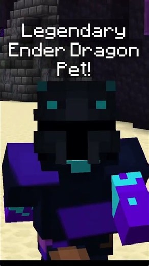 Day 20 of Doing Dragons EVERYDAY Until I drop a LEGENDARY Ender Dragon Pet! | Hypixel Skyblock