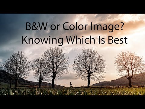 BW or Color? Which Photo Should I Create?