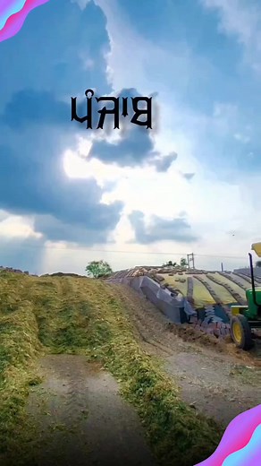 25K views · 476 reactions | Silage Pit Filling at Sidhu dairy Farm #crop #farming #Agriculture #farming #kheti #punjab #pb03 #bathinda | Crop's Information | Facebook
