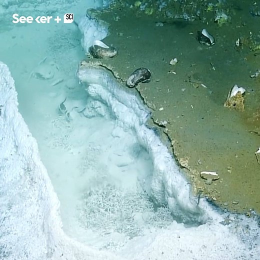 Underwater brine pools are toxic enough to kill you. This one’s called the "hot tub of despair." | Seeker Media