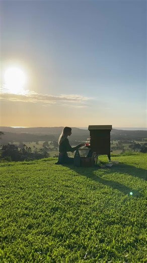 Spring is here in the Northern hemisphere, and so are the bees! 🌸🐝 As flowers bloom and the days get longer, we're all about supporting our little pollinators. Here's to a season of fresh beginnings and a healthy ecosystem. 🌼🍯 Let us know where in the world you are! 🌎 #FlowHive #USASpring #Beekeeping