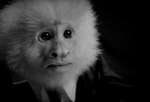 What Did Jack Do? - Movie 2020  - Dir. David Lynch | Filmelier