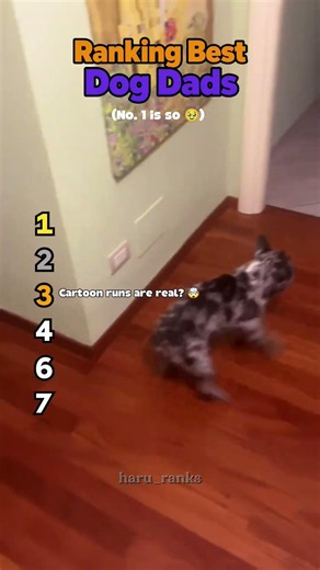 RANKING BEST DOG DADS 🐶🏆