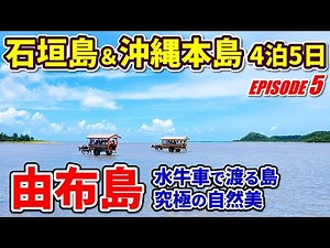 【水牛車でハプニング発生！】島全体が亜熱帯植物園★石垣島から日帰りで行ける！由布島で大自然を満喫！グルメも堪能【沖縄旅行⑤】